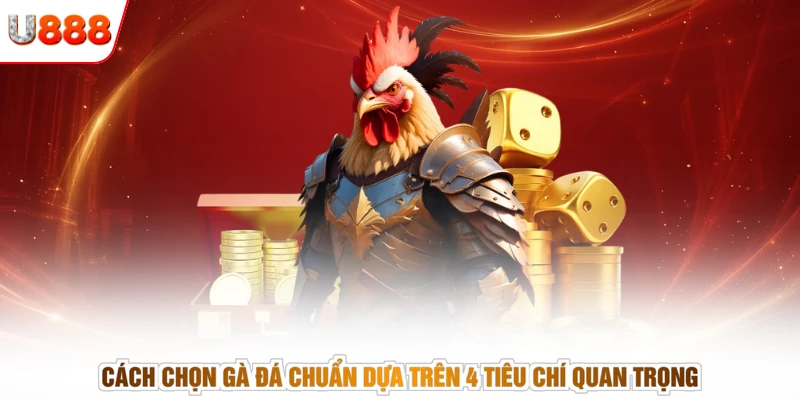 Cách Chọn Gà Đá Chuẩn Dựa Trên 4 Tiêu Chí Quan Trọng