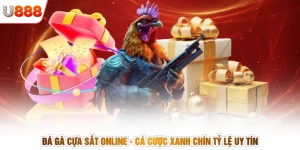 Đá Gà Cựa Sắt Online - Cá Cược Xanh Chín Tỷ Lệ Uy Tín